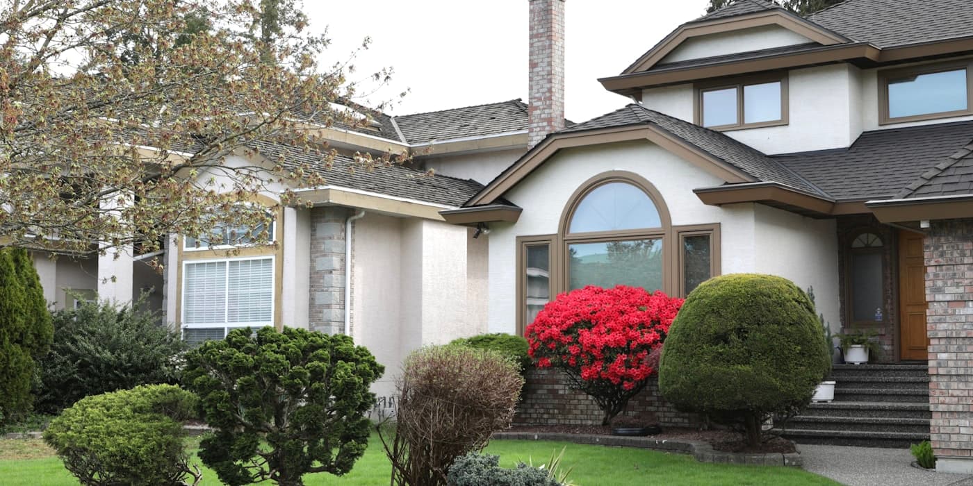 Established family home with a manicured front garden in bloom